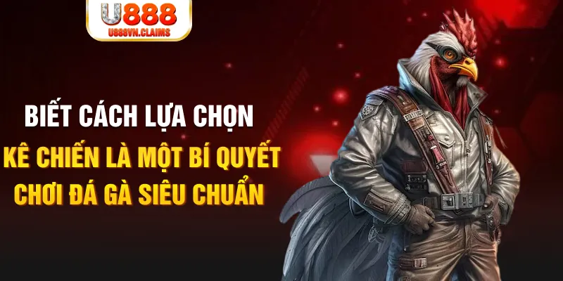 Biết cách lựa chọn kê chiến là một bí quyết chơi đá gà siêu chuẩn