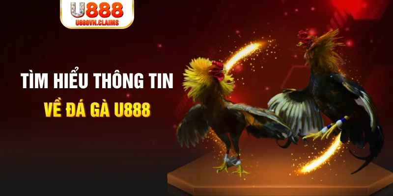 Tìm hiểu thông tin về đá gà U888
