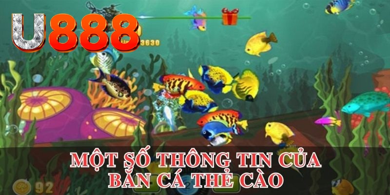 Điểm danh thông tin của bắn cá thẻ cào
