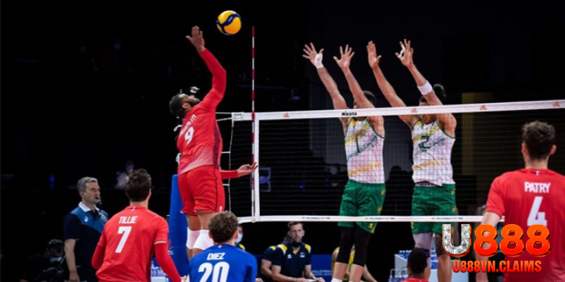 Tìm hiểu cá cược bóng chuyền là gì